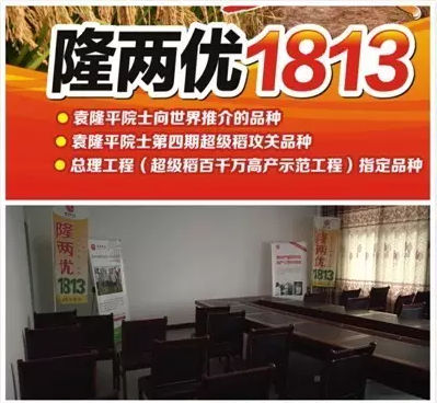 隆两优1813培训座谈会