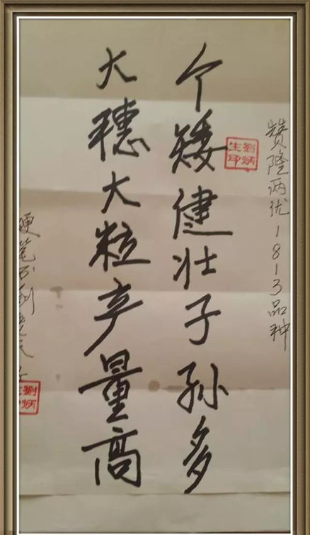 隆两优1813题字