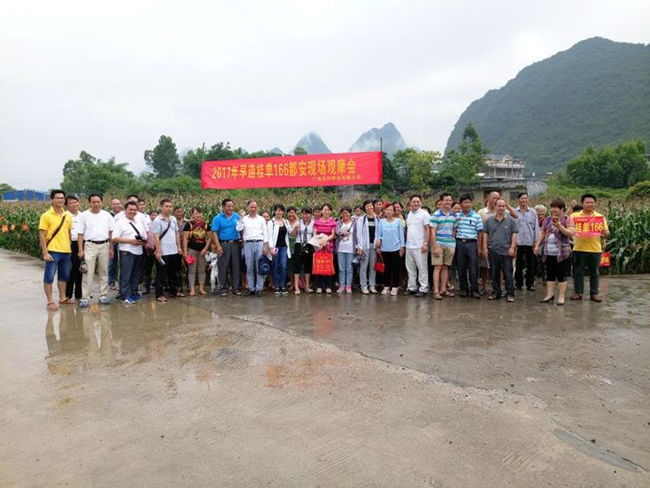 观摩会合影
