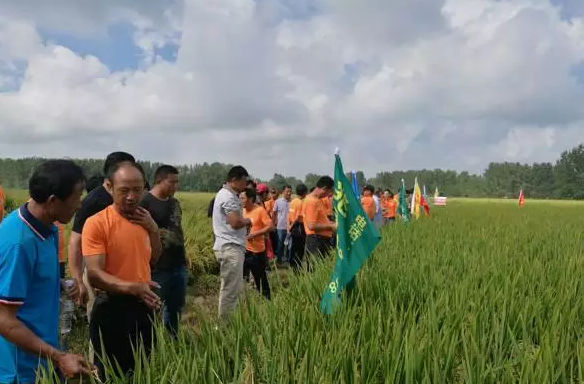 凤阳织核心零售商观摩会