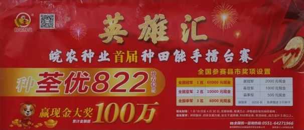 荃优822高产擂台赛
