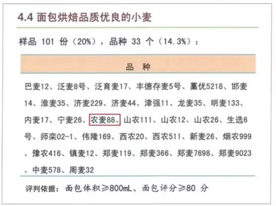 面包优良小麦品种