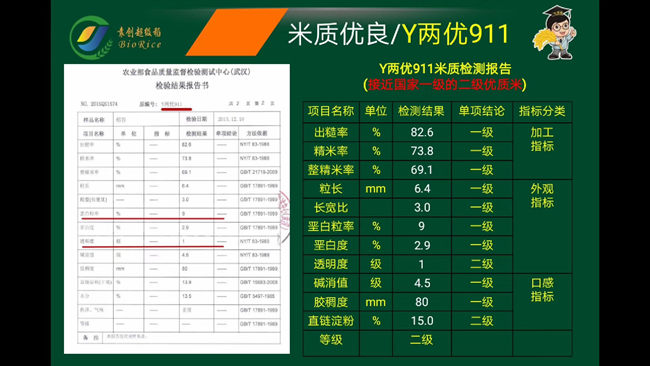 Y两优911米质检测报告