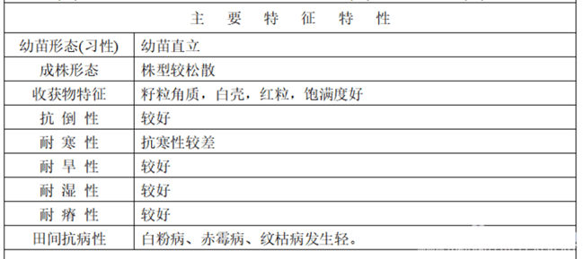 镇麦15特征特性