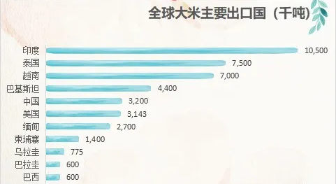 全球主要大米出口国