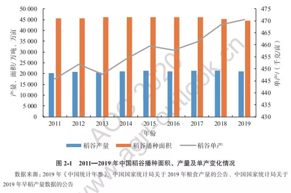 2011-2019年中国稻谷播种面积、产量及单产变化情况