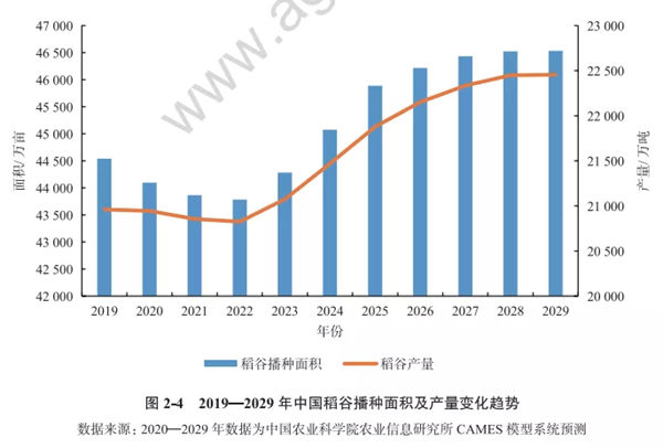 2020-2029年中国稻谷播种面积及产量变化趋势
