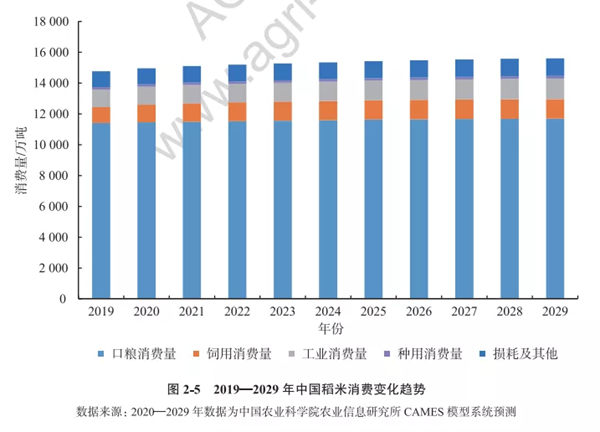 2020-2029年中国稻米消费变化趋势