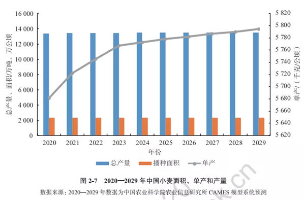 2020-2029年中国小麦面积、单产和产量