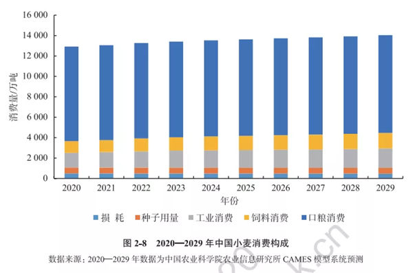 2020-2029年中国小麦消费构成