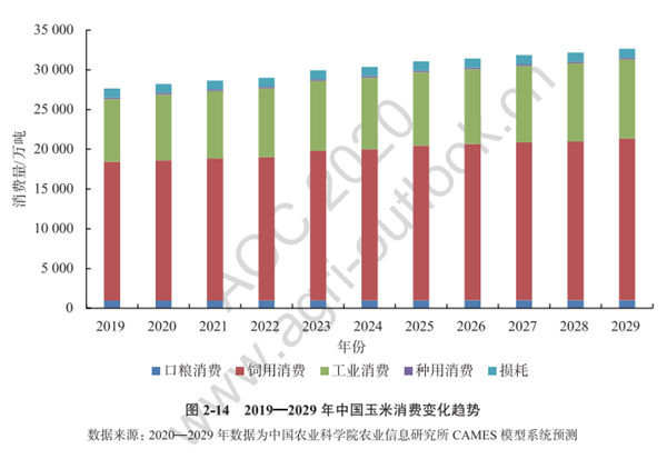 2019-2029年中国玉米消费变化趋势